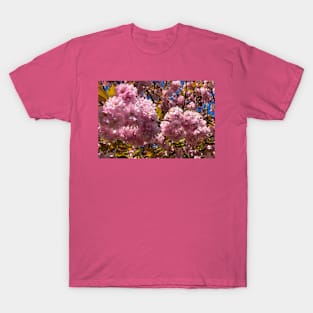 Profuse Sunlit Cherry Blossom T-Shirt